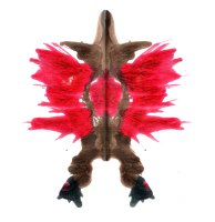 psychological evaluation